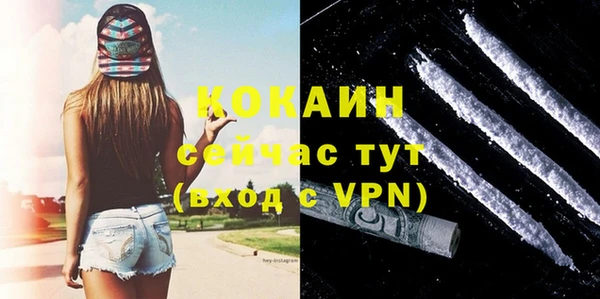 спиды Зеленокумск