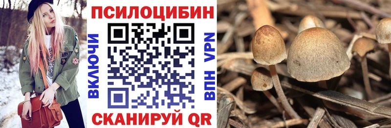 Купить  Очёр  Галлюциногенные грибы мухоморы 