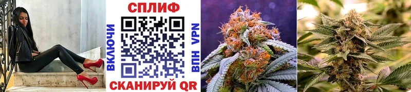 Купить где  Очёр  Бошки Шишки ГИДРОПОН 